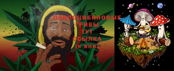 spice Богданович