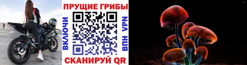 Галлюциногенные грибы ЛСД  Купить  Дубна 