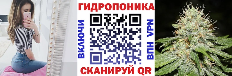 Купить  Дубна  Бошки марихуана AK-47 